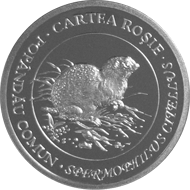 Popândău comun — Revers