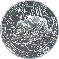 Pisică sălbatică — Revers